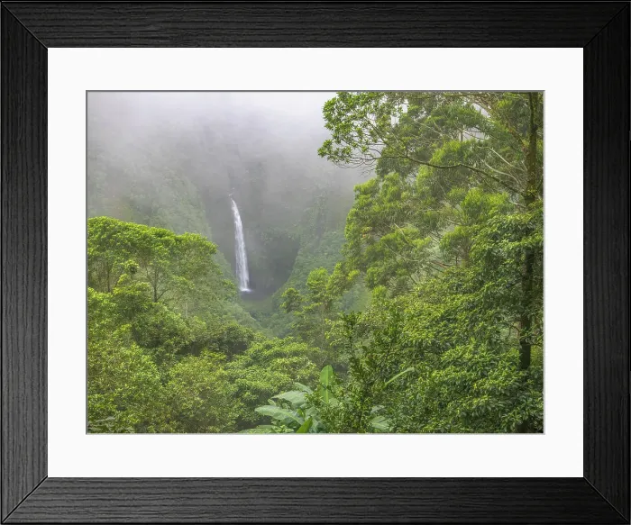 Framed Print : La Paz Waterfall in the cloud forest of Costa Rica Framed Print : La Paz Waterfall in the cloud forest of Costa Rica