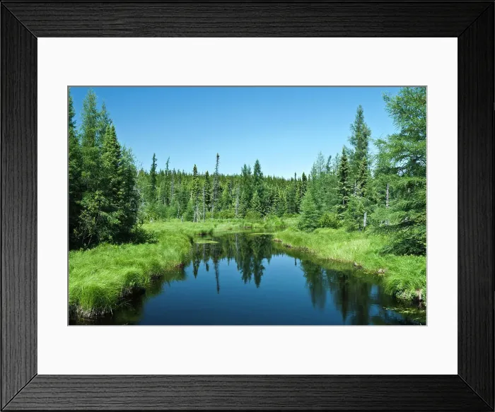 Framed Print : Little Mollie Creek in the boreal forest of Ontario, Canada Framed Print : Little Mollie Creek in the boreal forest of Ontario, Canada