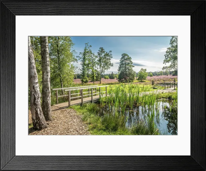 Framed Print : Idyllic hiking trail at the fairy ponds in the Buesenbachtal nature reserve near Handeloh, Luneburg Heath, Lower Saxony, Germany Framed Print : Idyllic hiking trail at the fairy ponds in the Buesenbachtal nature reserve near Handeloh, Luneburg Heath, Lower Saxony, Germany