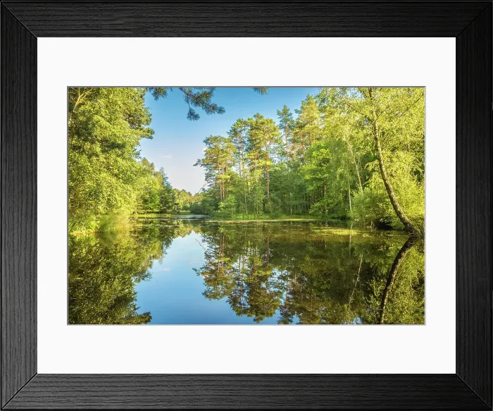 Framed Print : Evening atmosphere at the Pastor Ponds in the Wesel Heath nature reserve, Undeloh, Luneburg Heath, Lower Saxony, Germany Framed Print : Evening atmosphere at the Pastor Ponds in the Wesel Heath nature reserve, Undeloh, Luneburg Heath, Lower Saxony, Germany