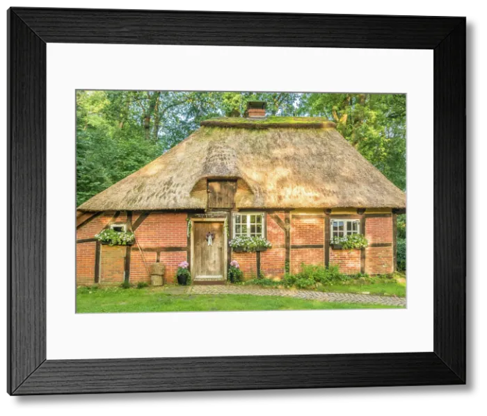 Framed Print : Historic thatched half-timbered house Witch house in the village of Wesel, Undeloh, Luneburg Heath, Lower Saxony, Germany Framed Print : Historic thatched half-timbered house Witch house in the village of Wesel, Undeloh, Luneburg Heath, Lower Saxony, Germany