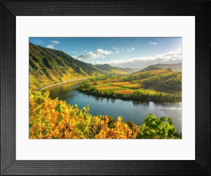 Framed Print : View from the autumnal vineyards near Bremm into the Moselle valley, Bremm, Moselle, Rhineland-Palatinate, Germany, Europe, Rhineland-Palatinate, Germany, Europe Framed Print : View from the autumnal vineyards near Bremm into the Moselle valley, Bremm, Moselle, Rhineland-Palatinate, Germany, Europe, Rhineland-Palatinate, Germany, Europe