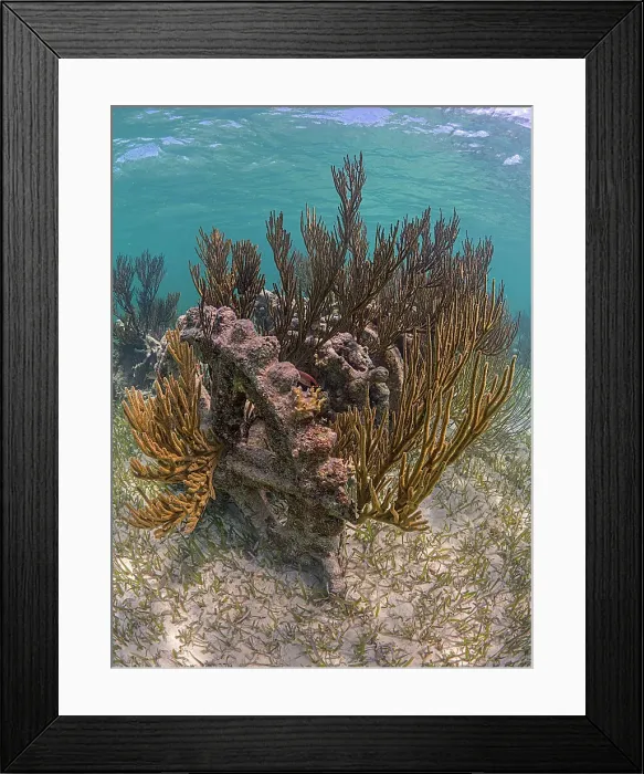 Framed Print : Wreck of the Geneva Kathleen, Barefoot Beach, Grand Cayman, Cayman Islands, British West Indies Framed Print : Wreck of the Geneva Kathleen, Barefoot Beach, Grand Cayman, Cayman Islands, British West Indies