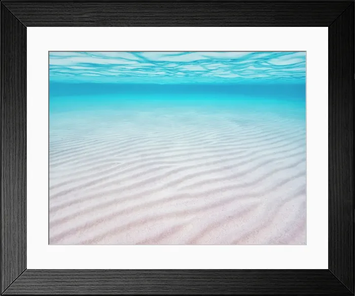 Framed Print : Stingray City Sandbar, Grand Cayman, Cayman Islands, BWI Framed Print : Stingray City Sandbar, Grand Cayman, Cayman Islands, BWI