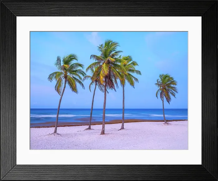 Framed Print : Daybreak at Beach Bay on Grand Cayman, Cayman Islands, British West Indies Framed Print : Daybreak at Beach Bay on Grand Cayman, Cayman Islands, British West Indies