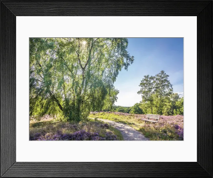 Framed Print : Hiking trail through the heathland near the village of Egestorf, Luneburg Heath, Lower Saxony, Germany Framed Print : Hiking trail through the heathland near the village of Egestorf, Luneburg Heath, Lower Saxony, Germany