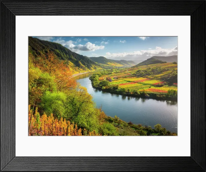 Framed Print : View from the autumnal vineyards near Bremm into the Moselle valley to the Stuben monastery ruins, Bremm, Moselle, Rhineland-Palatinate, Germany, Europe, Rhineland-Palatinate, Germany, Europe Framed Print : View from the autumnal vineyards near Bremm into the Moselle valley to the Stuben monastery ruins, Bremm, Moselle, Rhineland-Palatinate, Germany, Europe, Rhineland-Palatinate, Germany, Europe