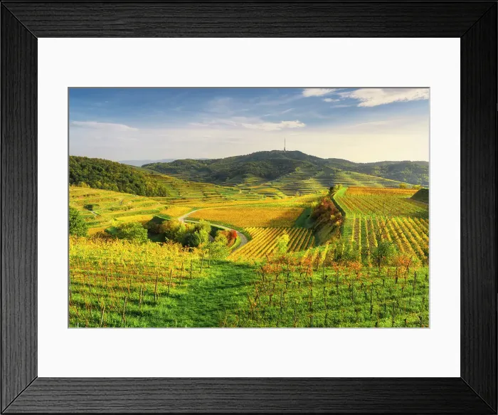 Framed Print : View over the Kaiserstuhl wine-growing region in autumn. Oberbergen, Breisgau, Black Forest, Baden-Wuerttemberg, Germany, Europe Framed Print : View over the Kaiserstuhl wine-growing region in autumn. Oberbergen, Breisgau, Black Forest, Baden-Wuerttemberg, Germany, Europe