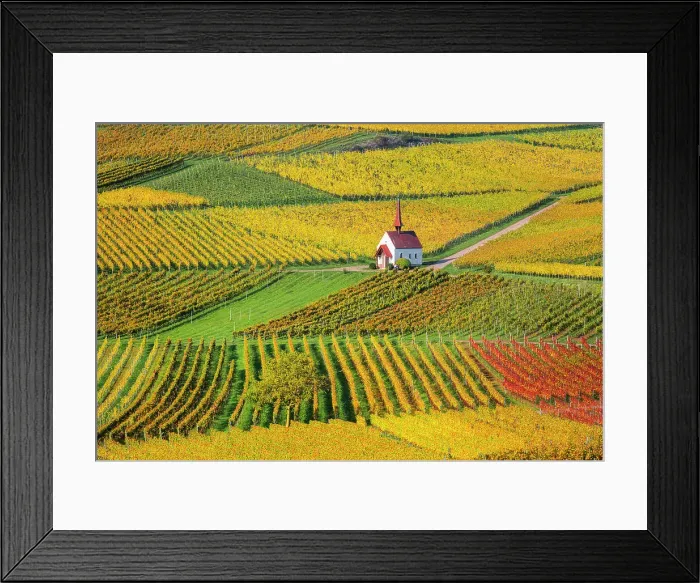 Framed Print : Chapel in the autumnal vineyards at the Keizerstuhl, Eichert Chapel, Jechtingen, Kaiserstuhl, Baden-Wuerttemberg, Germany, Europe