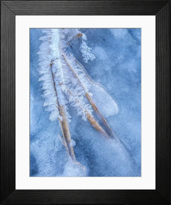 Framed Print : Ice details in winter, Thornton, Ontario, Canada Framed Print : Ice details in winter, Thornton, Ontario, Canada