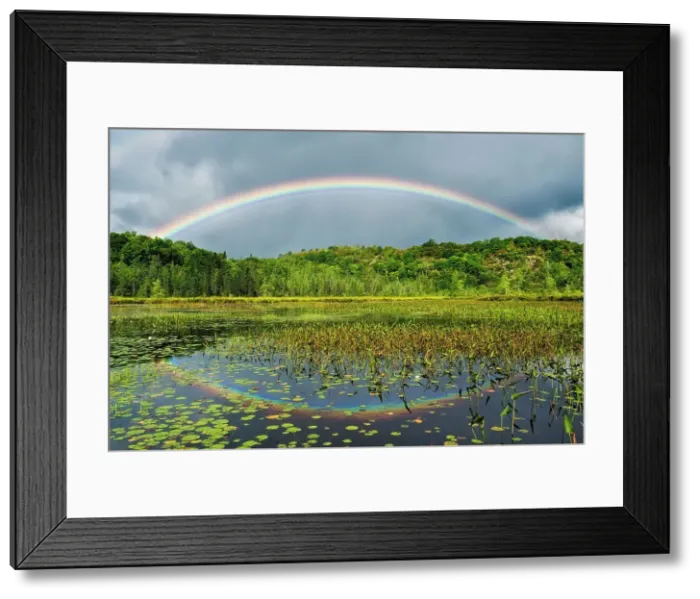 Framed Print : Rainbow over wetland on Horseshoe Lake near Parry Sound, Ontario, Canada Framed Print : Rainbow over wetland on Horseshoe Lake near Parry Sound, Ontario, Canada