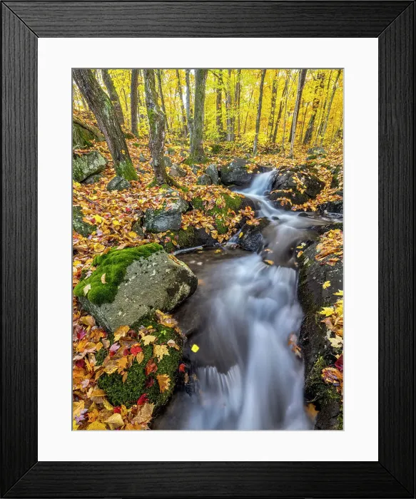 Framed Print : Woodland waterfall, Muskoka, Ontario, Canada Framed Print : Woodland waterfall, Muskoka, Ontario, Canada