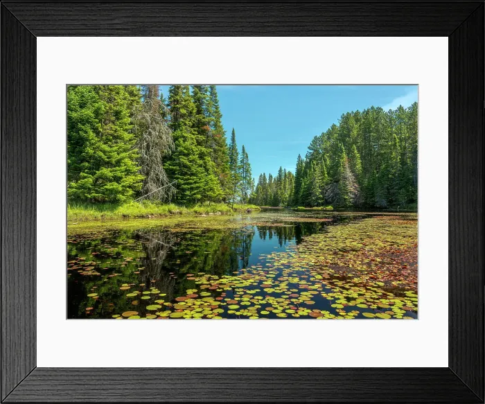 Framed Print : Hailstorn Creek, Algonquin Provincial Park, Ontario, Canada Framed Print : Hailstorn Creek, Algonquin Provincial Park, Ontario, Canada