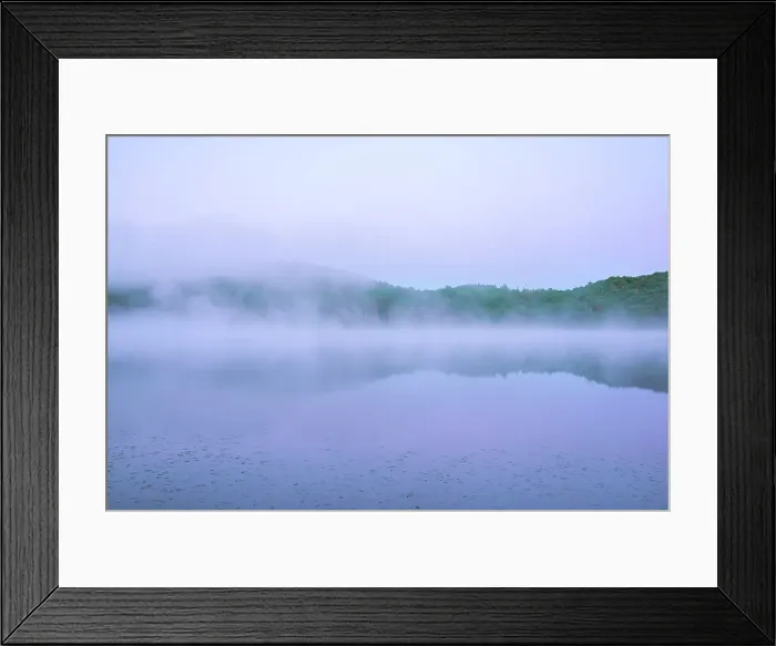 Framed Print : Mist on Brewer Lake, Algonquin Provincial Park, Ontario, Canada