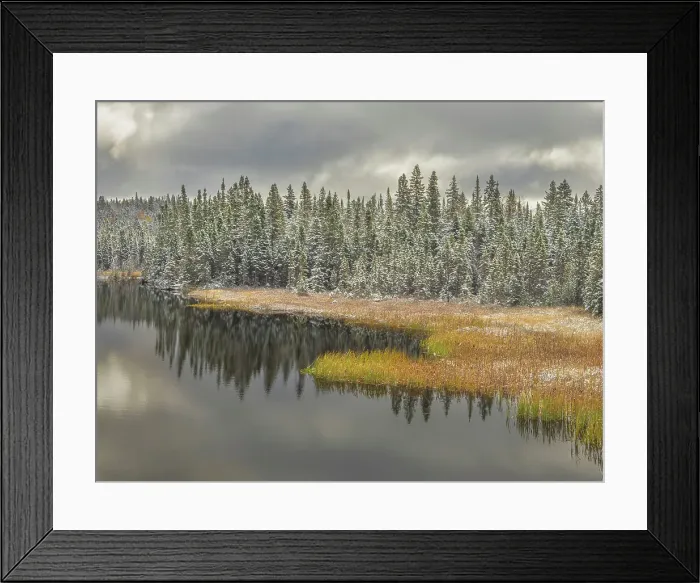Framed Print : Early winter and pond in Lake Superior Provincial Park, Ontario, Canada