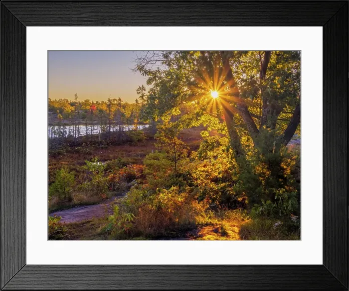 Framed Print : Daybreak at the Torrance Barrens in Muskoka, Ontario, Canada Framed Print : Daybreak at the Torrance Barrens in Muskoka, Ontario, Canada