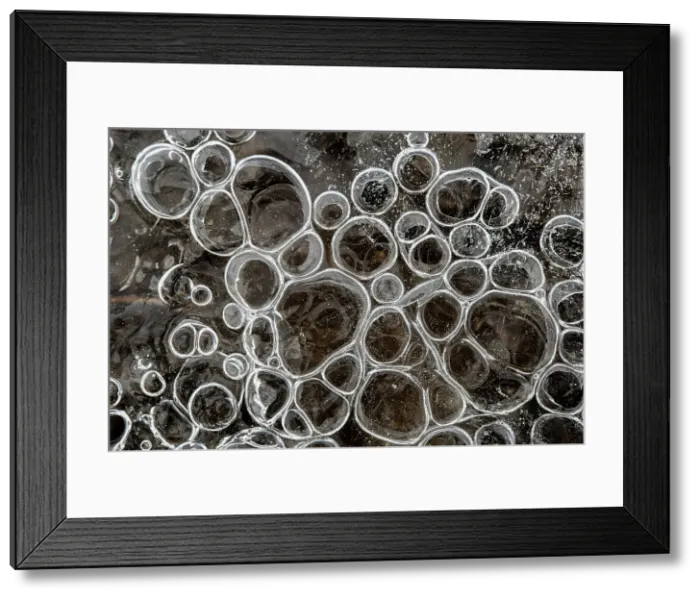 Framed Print : Bubbles trapped beneath ice in spring, Thornton, Ontario, Canada Framed Print : Bubbles trapped beneath ice in spring, Thornton, Ontario, Canada