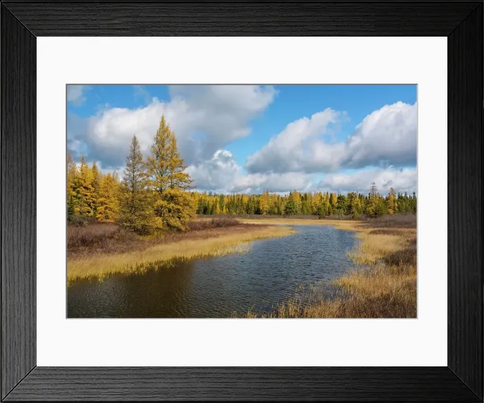 Framed Print : Autumn Stream near White River, Ontario, Canada Framed Print : Autumn Stream near White River, Ontario, Canada