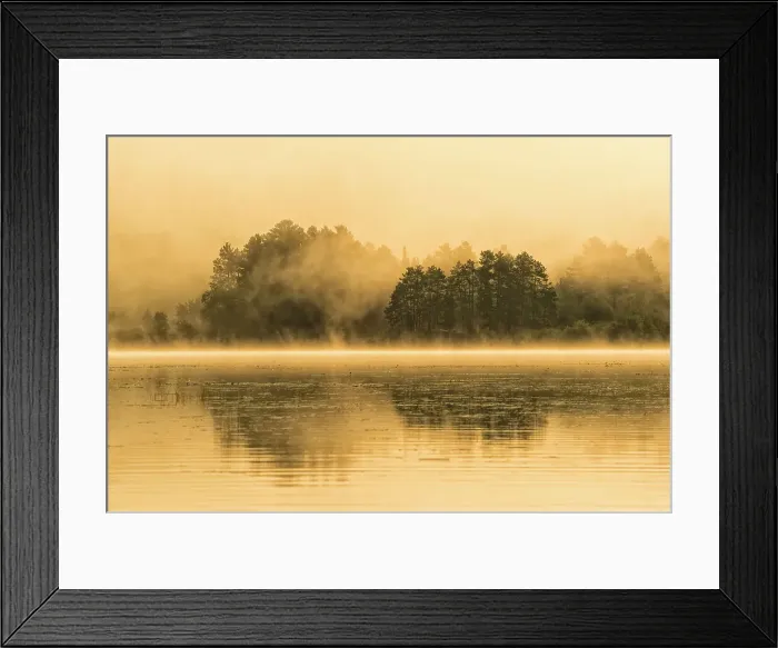 Framed Print : Misty sunrise on Lake Travers in Algonquin Provincial Park, Ontario, Canada Framed Print : Misty sunrise on Lake Travers in Algonquin Provincial Park, Ontario, Canada