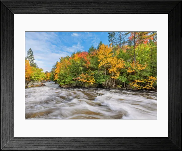 Framed Print : Autumn colour on the Oxtongue River, Ontario, Canada Framed Print : Autumn colour on the Oxtongue River, Ontario, Canada