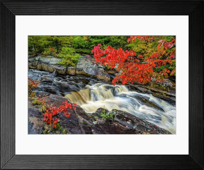 Framed Print : Autumn colour on the Rosseau River, Muskoka, Ontario, Canada Framed Print : Autumn colour on the Rosseau River, Muskoka, Ontario, Canada