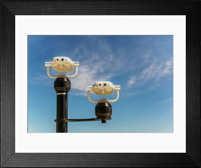 Framed Print : Public Tourist Binoculars, Lake Simcoe, Ontario, Canada