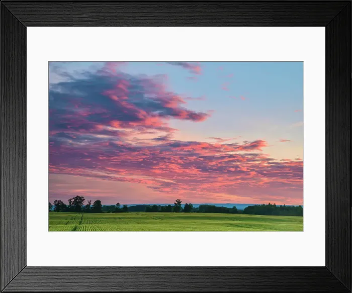 Framed Print : Winter wheat field at sunset, Thornton, Ontario, Canada Framed Print : Winter wheat field at sunset, Thornton, Ontario, Canada