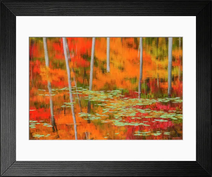 Framed Print : Autumn Reflections, Muskoka, Ontario, Canada Framed Print : Autumn Reflections, Muskoka, Ontario, Canada