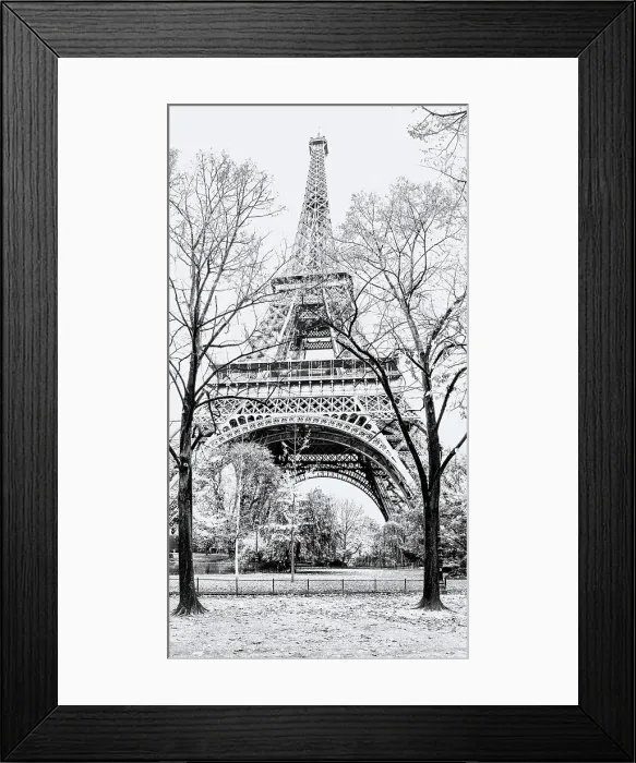Framed Print : Eiffel Tower. Paris, France Framed Print : Eiffel Tower. Paris, France