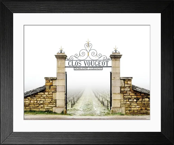 Framed Print : Sunrise Clos de Vougeot Vineyards, Fog Beaune, Cote D'Or, Burgundy, France Framed Print : Sunrise Clos de Vougeot Vineyards, Fog Beaune, Cote D'Or, Burgundy, France