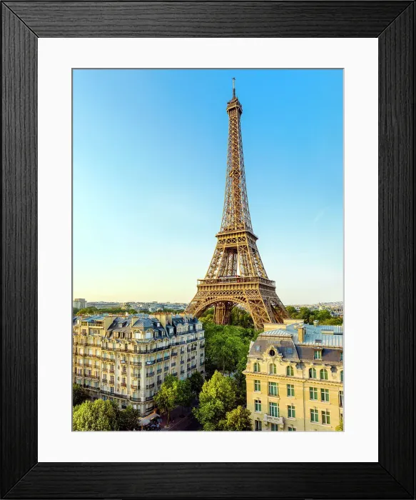 Framed Print : Eiffel Tower, Paris, France