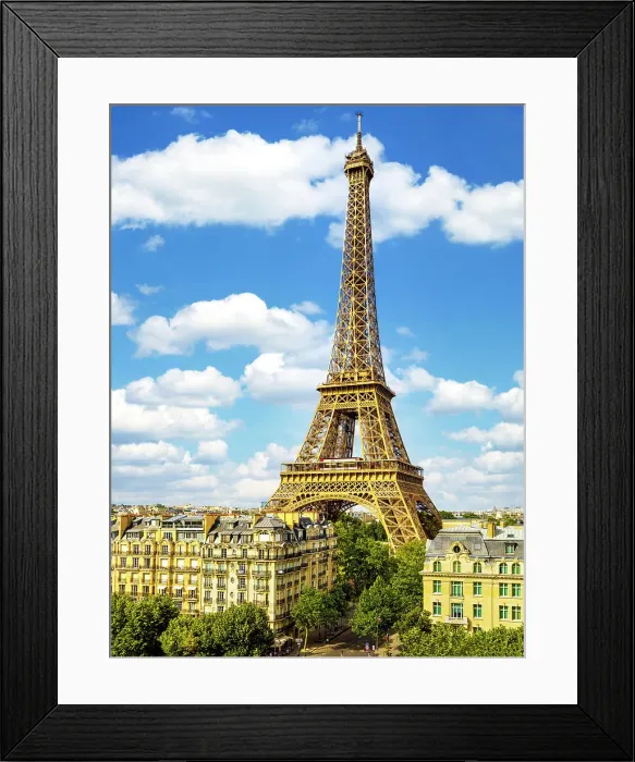 Framed Print : Eiffel Tower, Paris, France