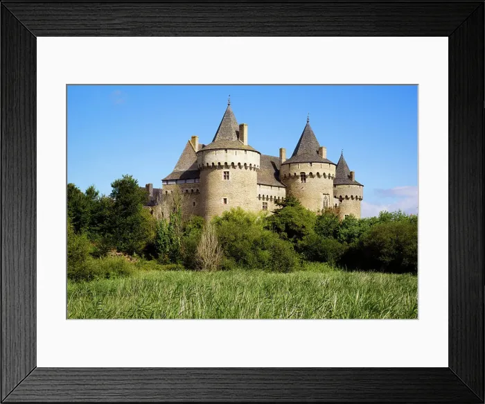 Framed Print : Castle of Suscinio, Morbihan, Bretagne, Brittany, France Framed Print : Castle of Suscinio, Morbihan, Bretagne, Brittany, France