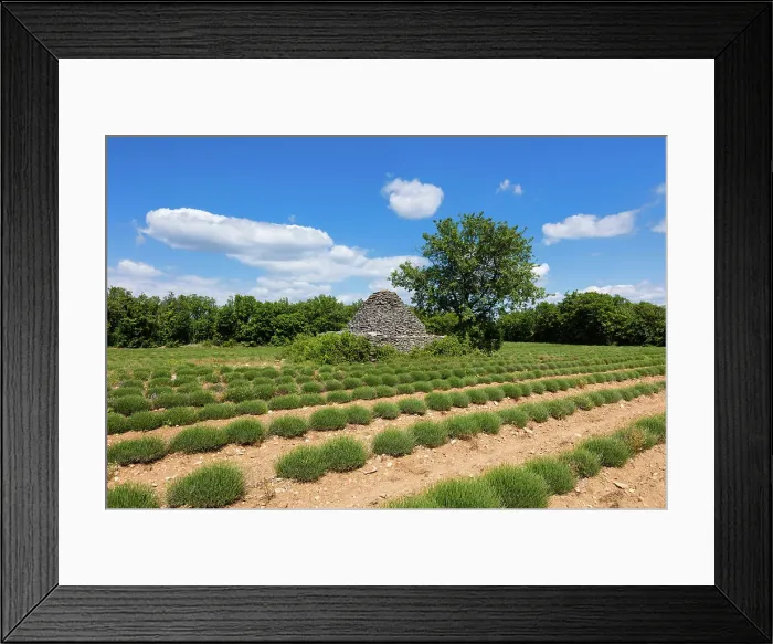 Framed Print : France, Provence, region Vaucluse, Borie stone hut, near Saignon village
