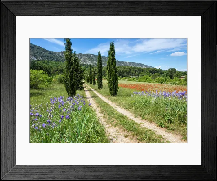 Framed Print : France, Provence, region Vaucluse, near Oppede-le Viex village Framed Print : France, Provence, region Vaucluse, near Oppede-le Viex village