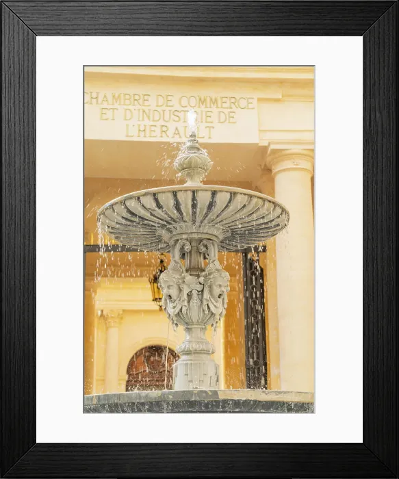 Framed Print : Fountain outside the Hotel Saint Come, Montpellier, Herault, France Framed Print : Fountain outside the Hotel Saint Come, Montpellier, Herault, France