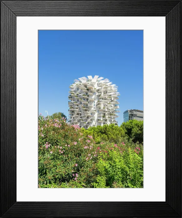 Framed Print : L Arbre Blanc or White Tree apartment block, Montpellier, Herault, France
