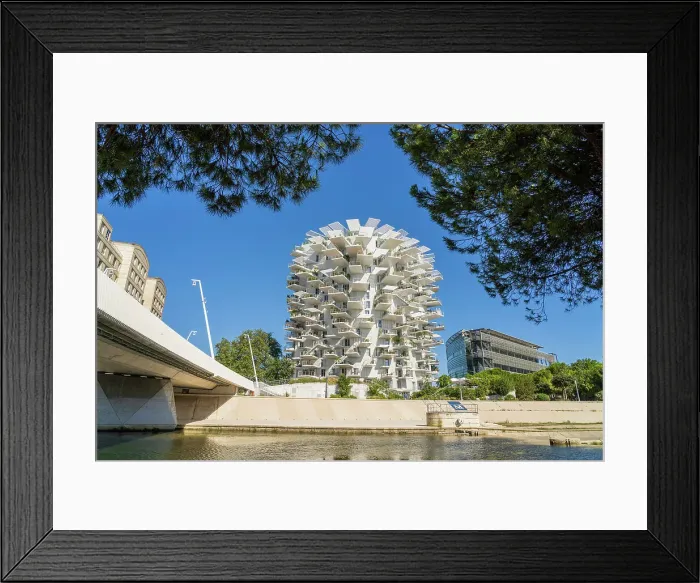 Framed Print : L Arbre Blanc or White Tree apartment block, Montpellier, Herault, France Framed Print : L Arbre Blanc or White Tree apartment block, Montpellier, Herault, France