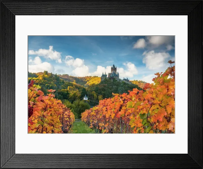Framed Print : Autumnal vines with Reichsburg Cochem in the background, Cochem, Mosel, Mosel valley, Rhineland-Palatinate, Germany, Europe Framed Print : Autumnal vines with Reichsburg Cochem in the background, Cochem, Mosel, Mosel valley, Rhineland-Palatinate, Germany, Europe