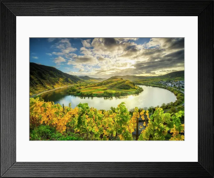 Framed Print : View from the autumnal vineyards near Bremm into the Moselle valley, Bremm, Moselle, Rhineland-Palatinate, Germany, Europe, Rhineland-Palatinate, Germany, Europe Framed Print : View from the autumnal vineyards near Bremm into the Moselle valley, Bremm, Moselle, Rhineland-Palatinate, Germany, Europe, Rhineland-Palatinate, Germany, Europe