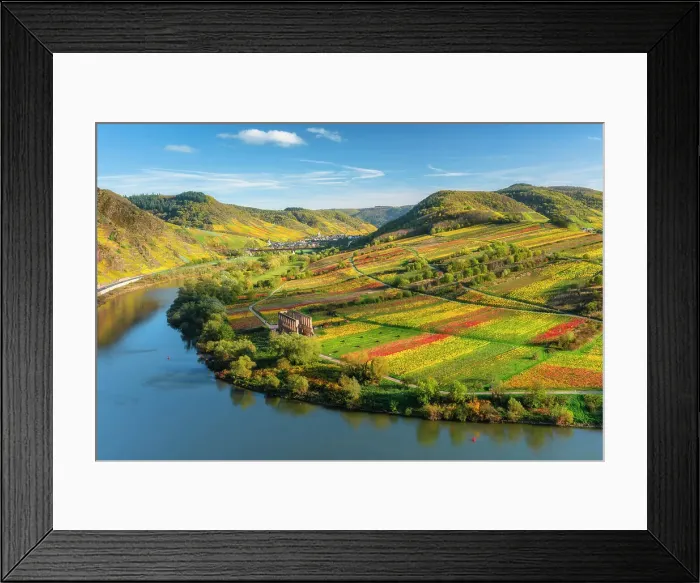 Framed Print : View from the autumnal vineyards near Bremm into the Moselle valley to the Stuben monastery ruins, Bremm, Moselle, Rhineland-Palatinate, Germany, Europe, Rhineland-Palatinate, Germany, Europe Framed Print : View from the autumnal vineyards near Bremm into the Moselle valley to the Stuben monastery ruins, Bremm, Moselle, Rhineland-Palatinate, Germany, Europe, Rhineland-Palatinate, Germany, Europe