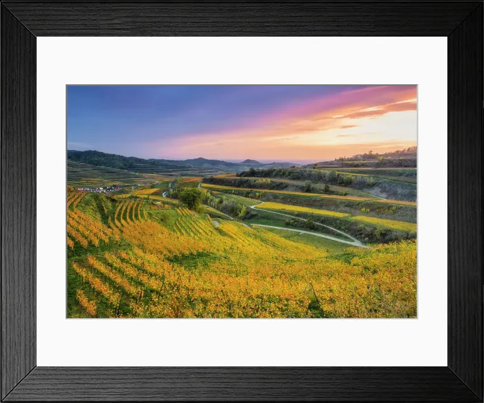Framed Print : View over the Kaiserstuhl wine-growing region in autumn. Oberbergen, Breisgau, Black Forest, Baden-Wuerttemberg, Germany, Europe Framed Print : View over the Kaiserstuhl wine-growing region in autumn. Oberbergen, Breisgau, Black Forest, Baden-Wuerttemberg, Germany, Europe