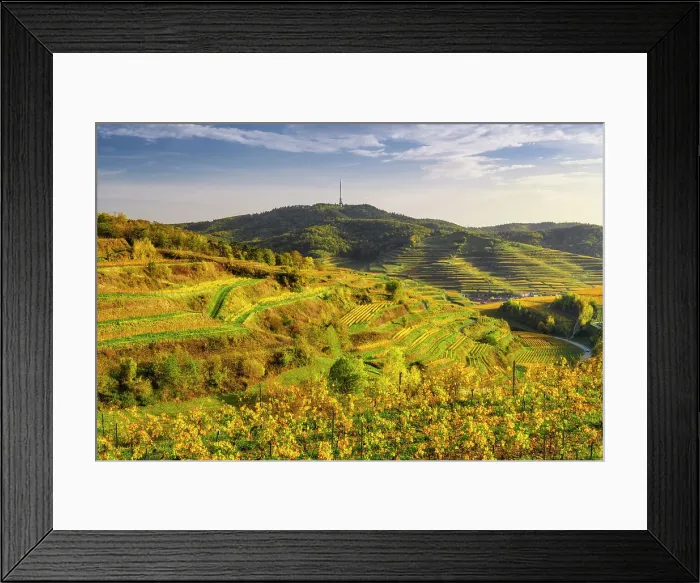 Framed Print : View over the Kaiserstuhl wine-growing region in autumn. Oberbergen, Breisgau, Black Forest, Baden-Wuerttemberg, Germany, Europe Framed Print : View over the Kaiserstuhl wine-growing region in autumn. Oberbergen, Breisgau, Black Forest, Baden-Wuerttemberg, Germany, Europe