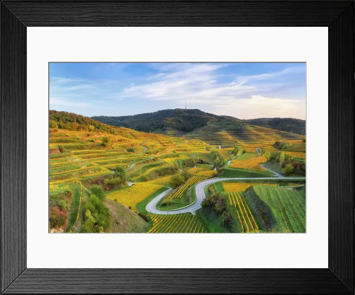 Framed Print : Texas Pass at the Kaiserstuhl with a view of the vineyards in autumn. Oberbergen, Breisgau, Black Forest, Baden-Wuerttemberg, Germany, Europe Framed Print : Texas Pass at the Kaiserstuhl with a view of the vineyards in autumn. Oberbergen, Breisgau, Black Forest, Baden-Wuerttemberg, Germany, Europe