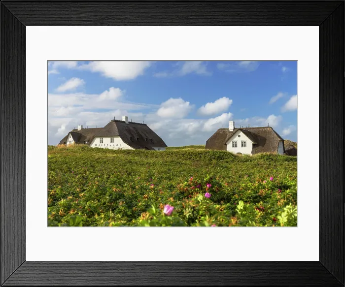 Framed Print : Traditional thatched houses, Red Cliffs (Rotes Kliff), Kampen, Sylt, Schleswig Holstein, Germany