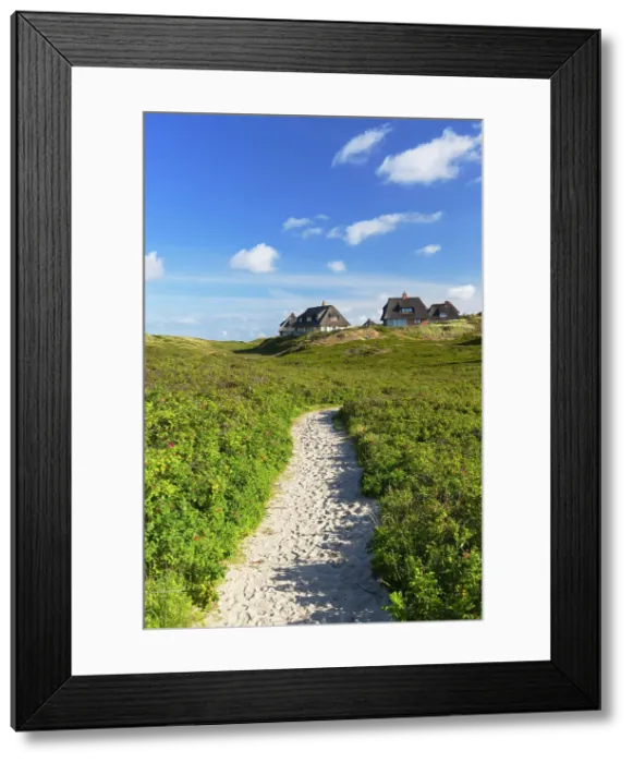 Framed Print : Traditional thatched houses in sand dunes, Hornum, Sylt, Schleswig Holstein, Germany