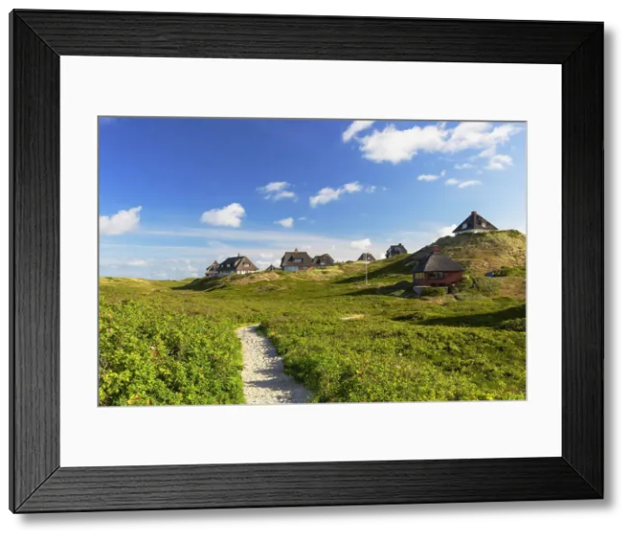 Framed Print : Traditional thatched houses in sand dunes, Hornum, Sylt, Schleswig Holstein, Germany Framed Print : Traditional thatched houses in sand dunes, Hornum, Sylt, Schleswig Holstein, Germany