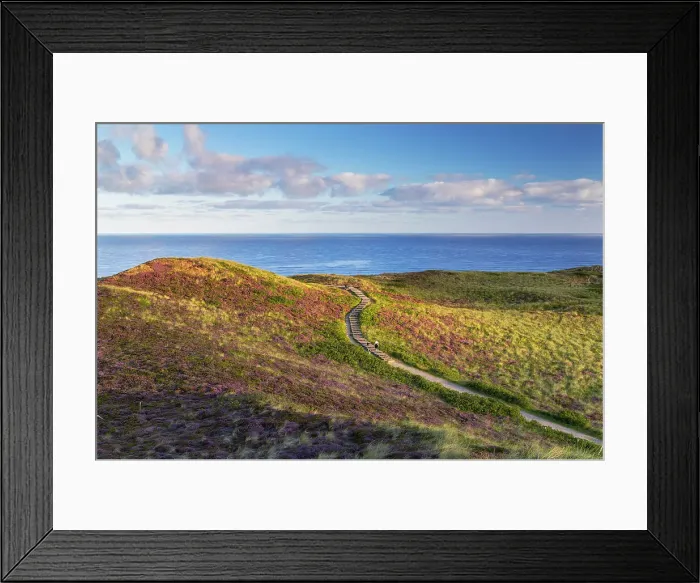 Framed Print : Woman on walkway through heather and sand dunes, Kampen, Sylt, Schleswig Holstein, Germany Framed Print : Woman on walkway through heather and sand dunes, Kampen, Sylt, Schleswig Holstein, Germany