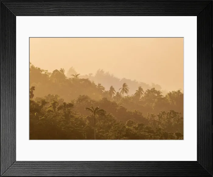 Framed Print : Mist shrouded hillside in Port Antonio, Jamaica Framed Print : Mist shrouded hillside in Port Antonio, Jamaica