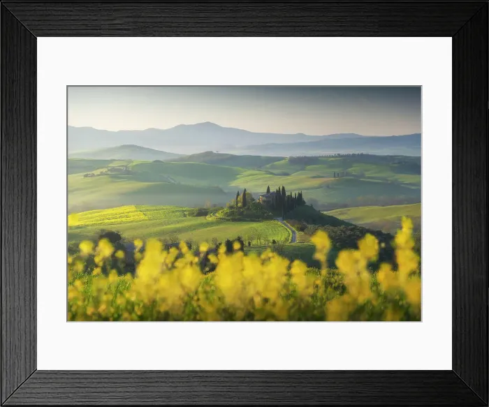 Framed Print : Spring sunrise with canola flowers over the iconic Podere Belvedere in Val d'Orcia, Tuscany, Italy Framed Print : Spring sunrise with canola flowers over the iconic Podere Belvedere in Val d'Orcia, Tuscany, Italy